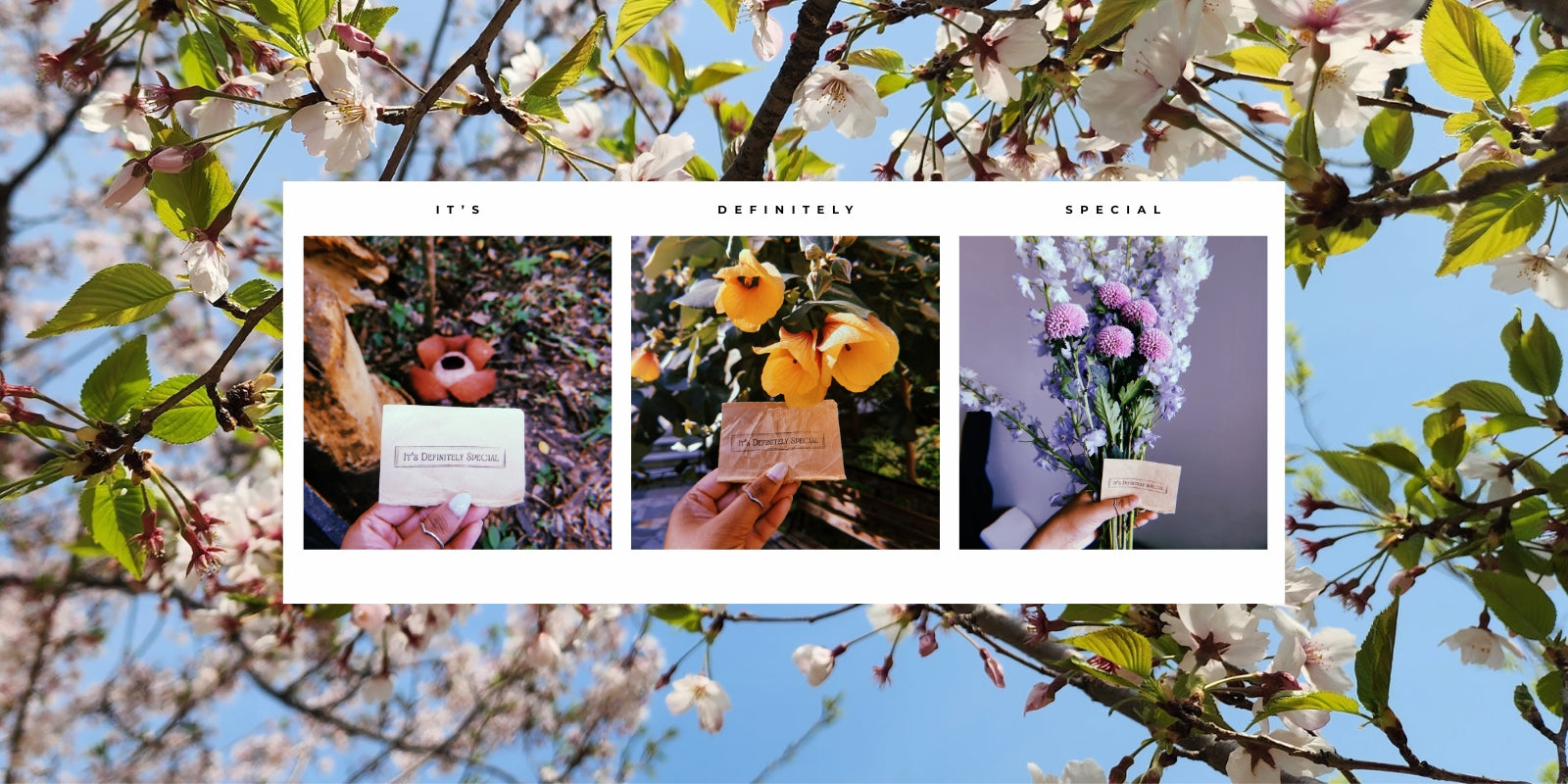 hugmail-snail-mail-subscription-canada